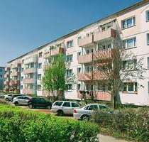 Wohnung zum Mieten in Prenzlau 415,00 € 60.8 m²