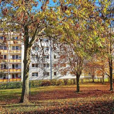 Foto - Wohnung zum Mieten in Freiberg 324,00 € 54 m²