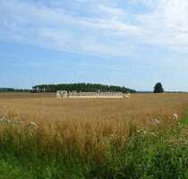 Spezialgewerbe in Kaufering 66.000,00 € 6621 m²