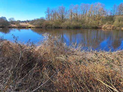 Foto - Haus zum Kaufen in Sereetz 550.000,00 € 150 m²