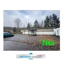 Halle in Kirchen (Sieg) 137.000,00 € 330 m²