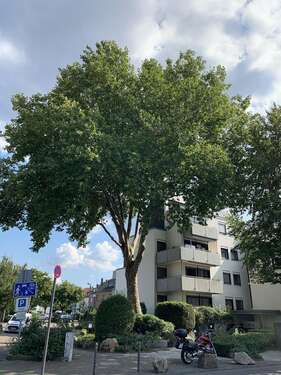 Foto - Wohnung zum Mieten in Köln 1.656,00 € 92 m²