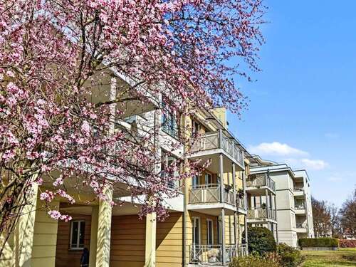 Foto - Wohnung zum Kaufen in Potsdam 495.000,00 € 80 m²