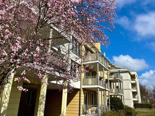 Foto - Wohnung zum Kaufen in Potsdam 495.000,00 € 80 m²