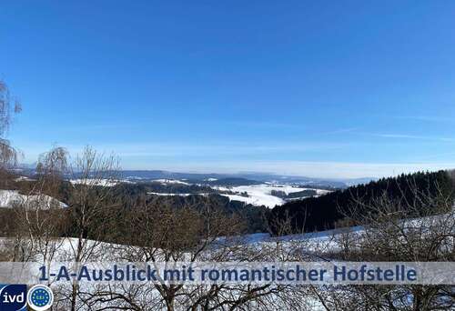 Foto - Haus zum Kaufen in Witzmannsberg 540.000,00 € 250 m²