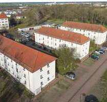 Wohnung zum Mieten in Torgau 282,00 € 42 m²