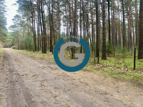 Foto - Grundstück zu verkaufen in Borkheide 47.000,00 € 1281 m²