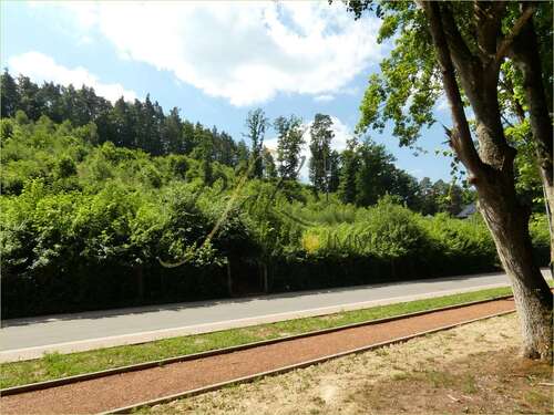 Foto - Grundstück zu verkaufen in Rodalben 149.000,00 € 1300 m²