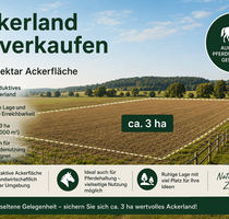 Grundstück in Humptrup 100.000,00 € 29111 m²