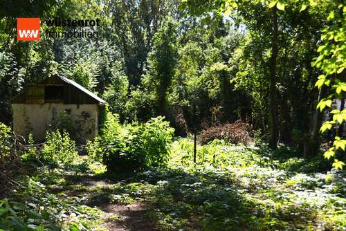 Foto - Grundstück zu verkaufen in Zechin 29.000,00 € 1119 m²