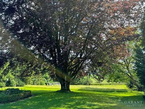 Foto - Grundstück zu verkaufen in Dasing 1.100.000,00 € 3230 m²