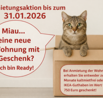 Wohnung zum Mieten in Halle 475,00 € 59 m²