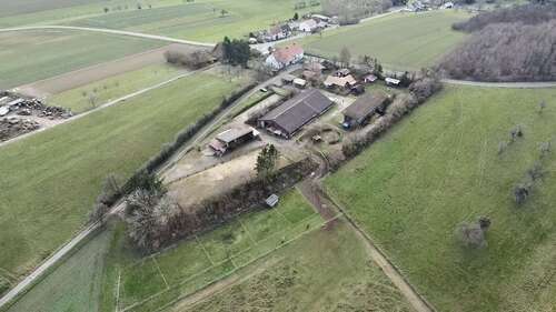 Foto - Haus zum Kaufen in Kirrweiler 795.000,00 € 277 m²