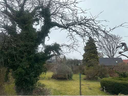 Foto - Grundstück zu verkaufen in Reinbek 370.000,00 € 616 m²