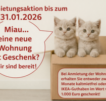 Wohnung zum Mieten in Halle 880,00 € 118 m²