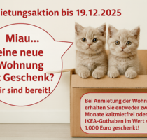 Wohnung zum Mieten in Halle 880,00 € 118 m²