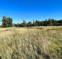 Grundstück in Lachendorf 482.000,00 € 5350 m²