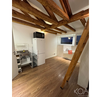 Wohnung zum Mieten in Frankfurt am Main Höchst 399,00 € 21 m² - Frankfurt am Main / Höchst