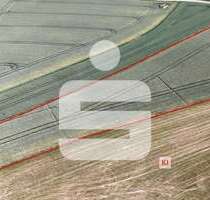 Grundstück in Egglham 75.240,00 € 10032 m²