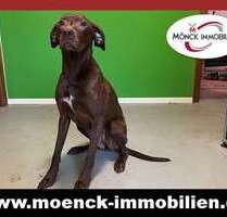 Haus zum Kaufen in Weener 360.000,00 € 130 m²