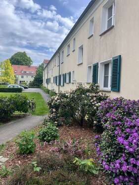 Foto - Wohnung zum Kaufen in Dresden 124.900,00 € 42.54 m²