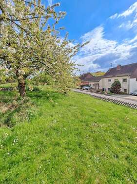 Foto - Grundstück zu verkaufen in Königswinter 180.600,00 € 365 m²