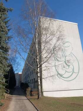 Foto - Wohnung zum Mieten in Döbeln 238,00 € 47.7 m²