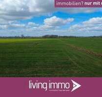 Grundstück zu verkaufen in Berne 546.500,00 € 221784 m²