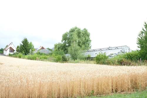 Foto - Grundstück zu verkaufen in Habitzheim 181.000,00 € 475 m²
