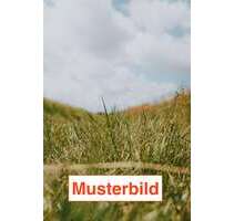 Grundstück zu verkaufen in Prien am Chiemsee 369.000,00 € 257 m²