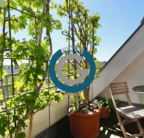 Wohnung zum Kaufen in Berlin 1.700.000,00 € 272 m²