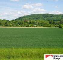 Haus zum Kaufen in Rinteln 385.000,00 € 200 m²