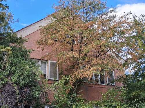 Foto - Grundstück zu verkaufen in München Laim 4.950.000,00 € 1150 m²