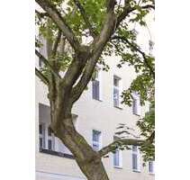 Wohnung zum Kaufen in Berlin 228.000,00 € 71.65 m²