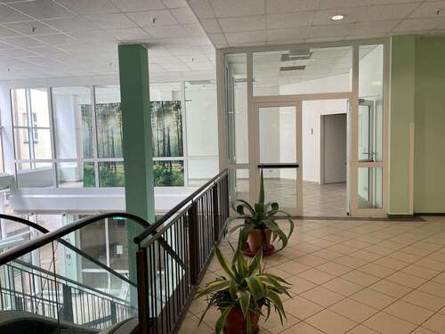 Foto - Einzelhandel in Frankenberg 351,00 € 35 m²