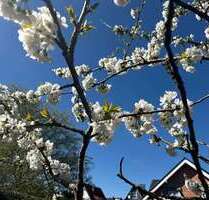 Grundstück zu verkaufen in Castrop-Rauxel 224.000,00 € 560 m²