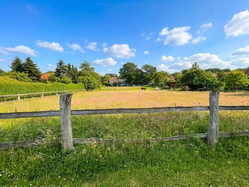 Foto - Grundstück zu verkaufen in Reinstorf Holzen 298.000,00 € 2995 m²