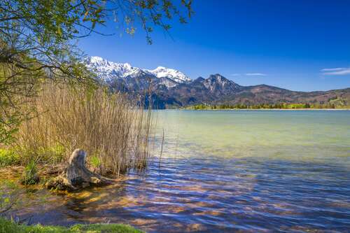 Foto - Grundstück zu verkaufen in Kochel a. See 470.000,00 € 640 m²