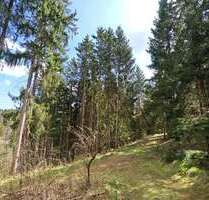 Grundstück in Helmbrechts 16.000,00 € 11476 m²
