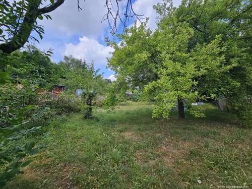 Foto - Grundstück zu verkaufen in Goldbach 500.000,00 € 1167 m²