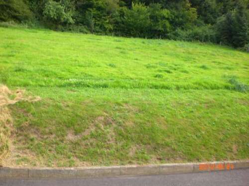 Foto - Grundstück zu verkaufen in Knüllwald-Appenfeld 19.500,00 € 720 m²