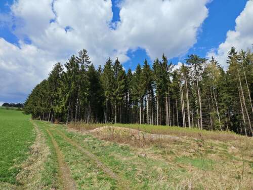 Foto - Grundstück in Helmbrechts 13.000,00 € 5350 m²