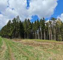 Grundstück in Helmbrechts 13.000,00 € 5350 m²