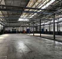 Halle in Spreenhagen 850,00 € 170 m²