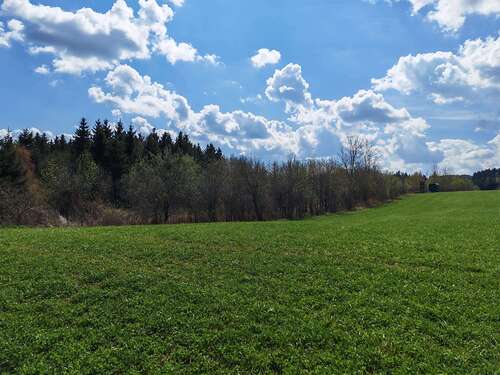 Foto - Grundstück in Helmbrechts 26.000,00 € 19420 m²