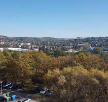 Foto - Wohnung zum Mieten in Gera 250,00 € 35 m²