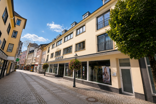 Foto - Haus zum Kaufen in Mayen 850.000,00 € 700 m²
