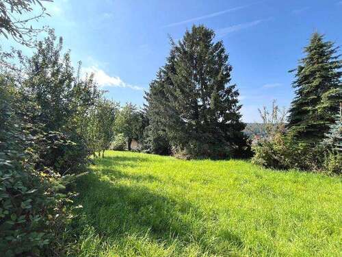 Foto - Grundstück zu verkaufen in Hillscheid 195.000,00 € 1502 m²