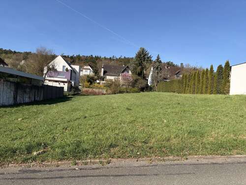 Foto - Grundstück zu verkaufen in Forchheim 543.700,00 € 954 m²