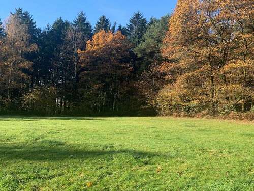 Foto - Grundstück zu verkaufen in Böbrach 239.000,00 € 8555 m²